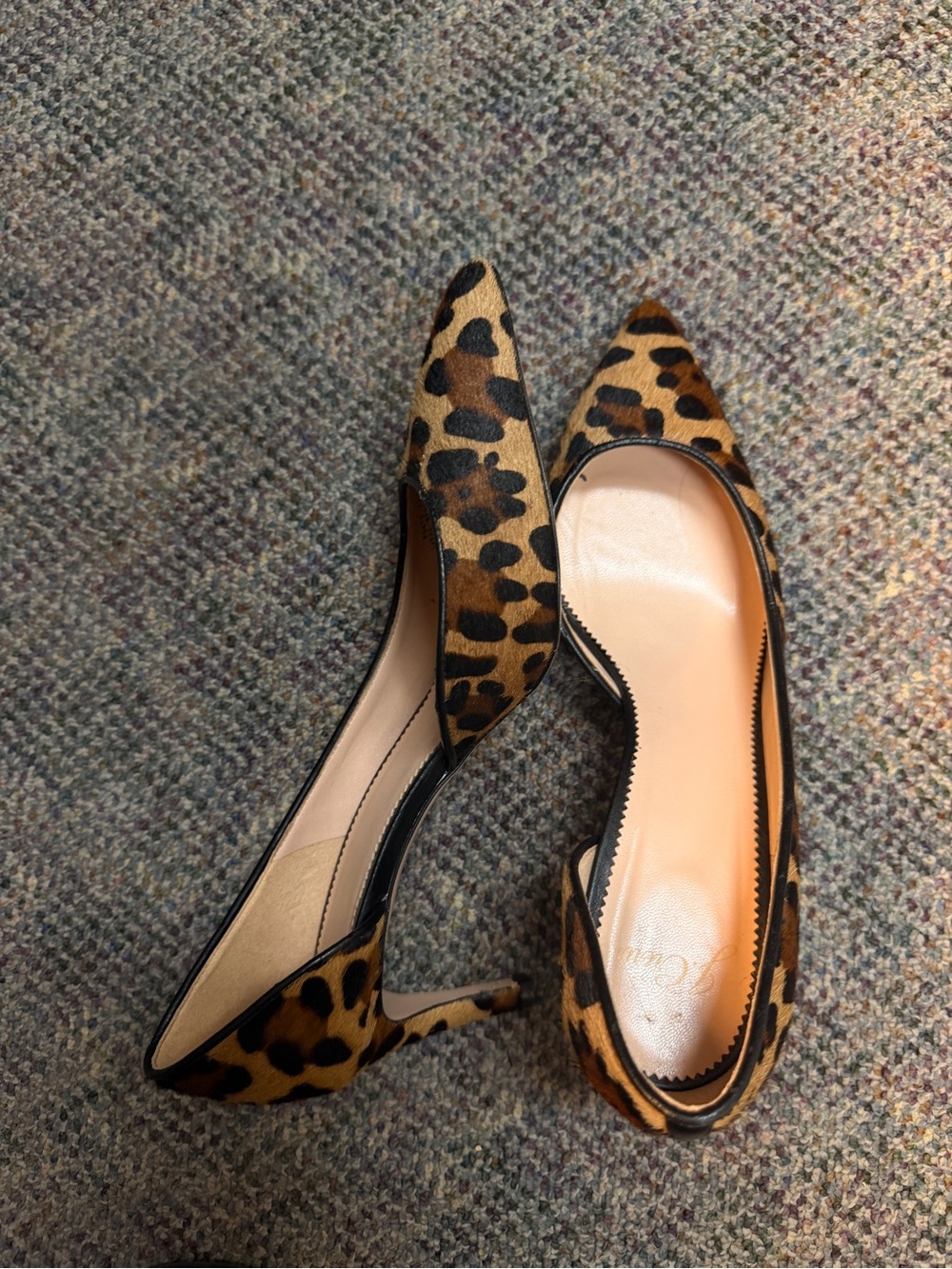 J. Crew Leopard-Print Pointed Toe Pumps in Brown and Black - Picture 5 of 6